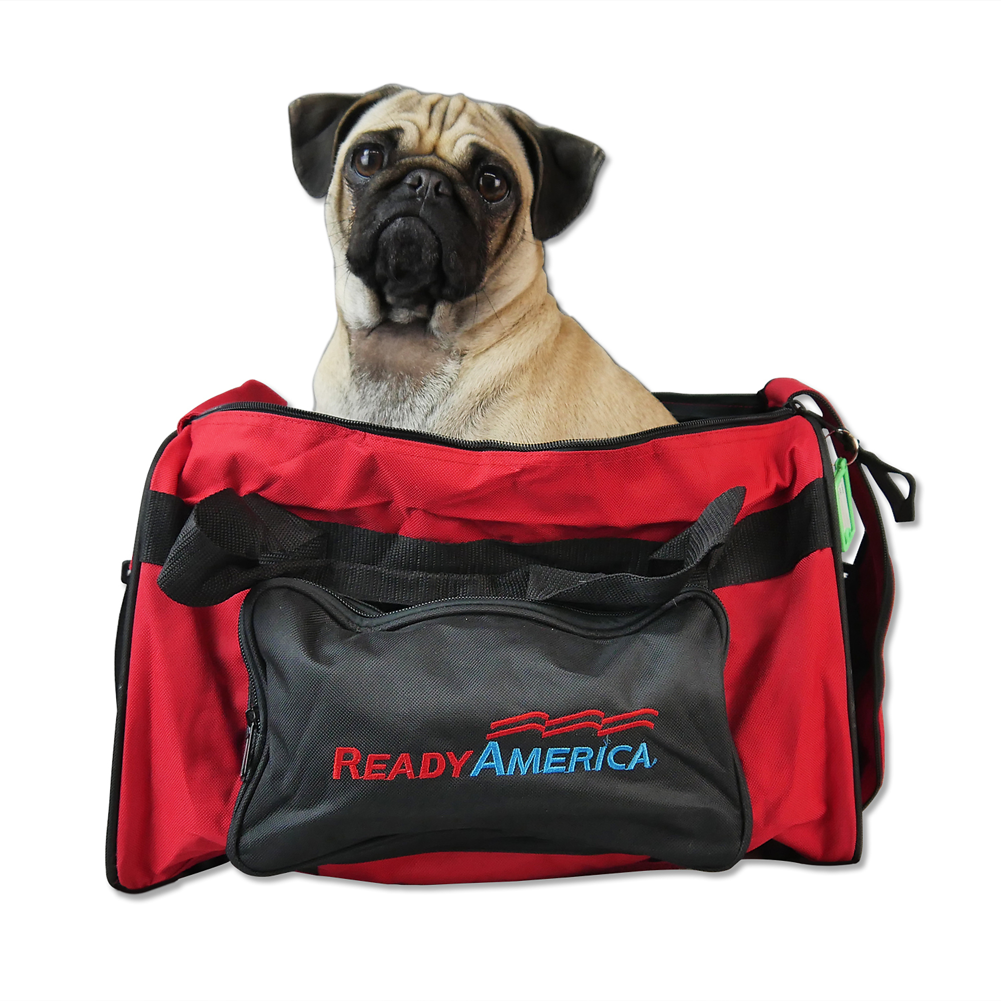 Ready America, 1 Small Dog, 3 Day, Evacuation Kit, Pieces (qty.) 25 Model# 77150